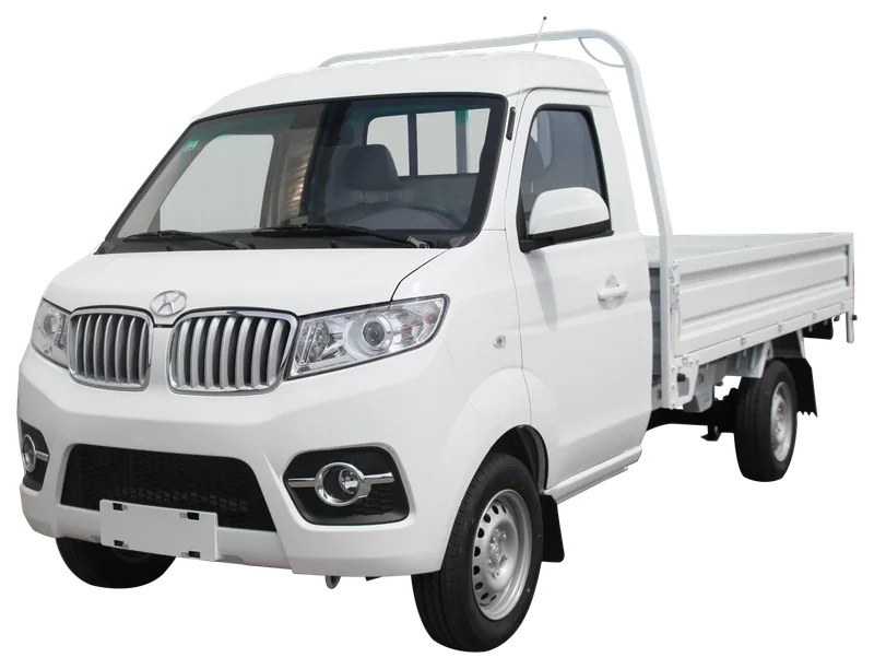 Shineray T30