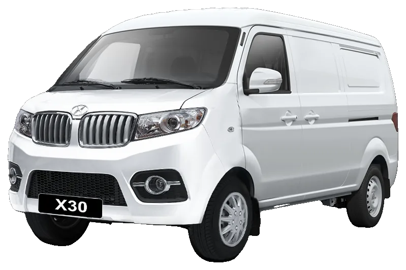 Shineray X30 Cargo